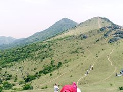 -大姆山草场