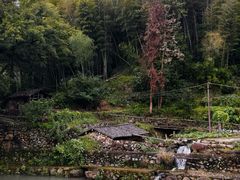 -泽雅景区