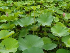 -常州奔牛国际机场