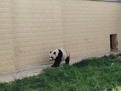 -石家庄市动物园