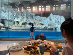 -帝企鹅自助餐厅•儿童岛•真企鹅(长隆企鹅酒店)