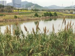 -光明小镇欢乐田园