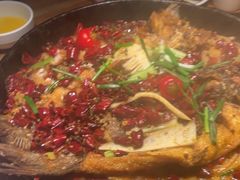 -老板恋上鱼(高新万达店)