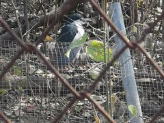 -祥源·阜阳生态乐园