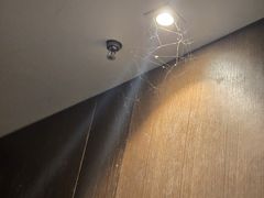 -大连金石滩绿发温泉假日酒店