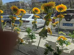 -巴盟人家·内蒙地方菜(华丽家族店)