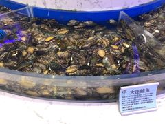 -澜悦港海鲜体验主题餐厅