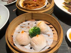 -粤凤佬