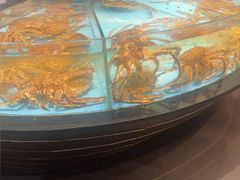 -渔傅·霞浦滩涂海鲜(建平店)