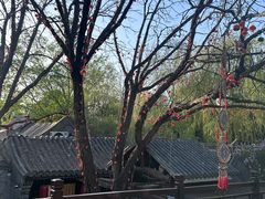 -悦真雅院·四合院·清真私房菜(雍和宫店)