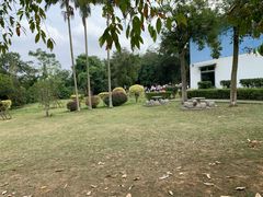 -南宁良凤江国家森林公园