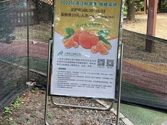 -上海滨江森林公园