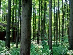-同里国家湿地公园