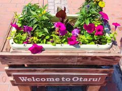 -小樽运河广场(運河プラザ)