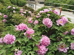 -大钟寺古钟博物馆