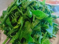 香茅丝瓜尖-半山腰·云南菜(侨福芳草地店)