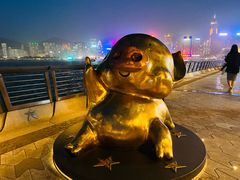 -星光大道