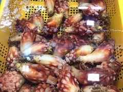 -西归浦每天偶来市场