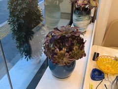 -醉美东江·三文鱼·烧鸡公