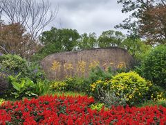 -新江湾城公园
