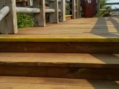 -东寨港红树林旅游区