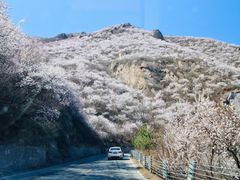 -妙峰山风景名胜区