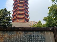 -塔子山公园