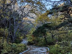 -大芦花风景区