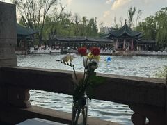 -MAP CHA普洱茶馆(翠湖店)