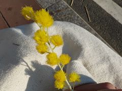 -牛岗山公园