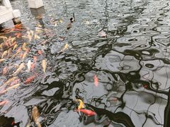 -九天休闲谷