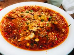 -文记四川鱼馆(小纬北路店)