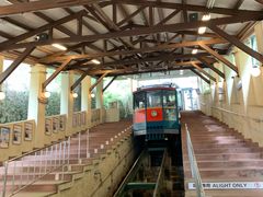 -神户市立六甲山牧场