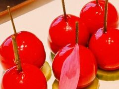 -润苑·悦椿轩(徐汇万科中心一期店)