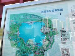 -莲花池公园