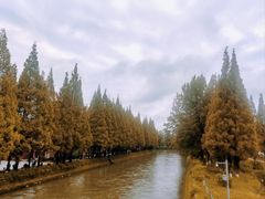 -蜀绣公园