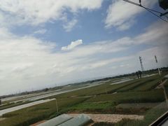 -李想大虾(文景路&凤城八路店)