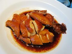 -新兴·金羊座·粤菜点心(乐峰店)