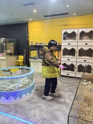 -神奇动物撸宠馆·羊驼·小浣熊·异宠(豫园店)