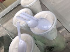 -洪馨椰子