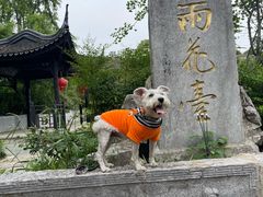 -雨花胜境