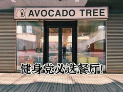 -油梨树 AVOCADO TREE(亮马桥店)