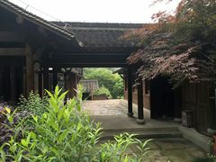 -龙井村