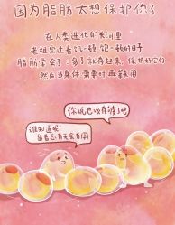 -Fundi张玉珊修身堂·indiba·BTL科技瘦身