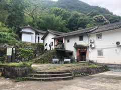 -雁南飞茶田景区