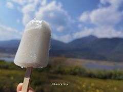 -腾冲北海湿地