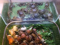 河蟹-聚盛源蒸汽海鲜火锅烤肉自助(巨川金海岸购物广场店)