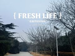 -旅顺博物馆