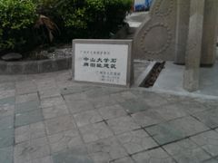 -中山大学学者灵芝(园南路店)
