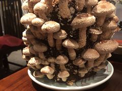 活体菌菇-捞王锅物料理(四川北路店)
